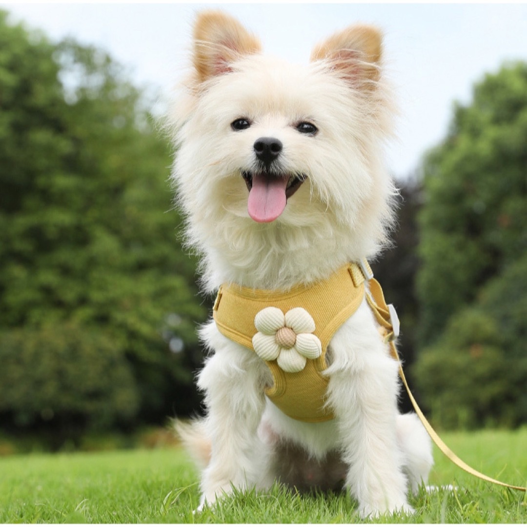 ペット用ハーネス リード付き犬 猫 小花飾り付き 可愛い 軽い 着脱簡単 その他のペット用品(犬)の商品写真