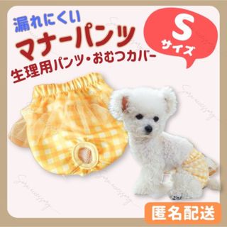 マナーパンツ サニタリーパンツ おむつカバー   ギンガム Sサイズ イエロー(犬)