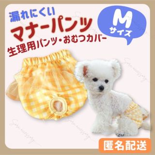 マナーパンツ サニタリーパンツ おむつカバー   ギンガム Mサイズ イエロー(犬)