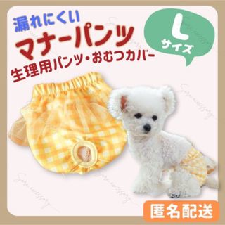 マナーパンツ サニタリーパンツ おむつカバー   ギンガム Lサイズ イエロー(犬)