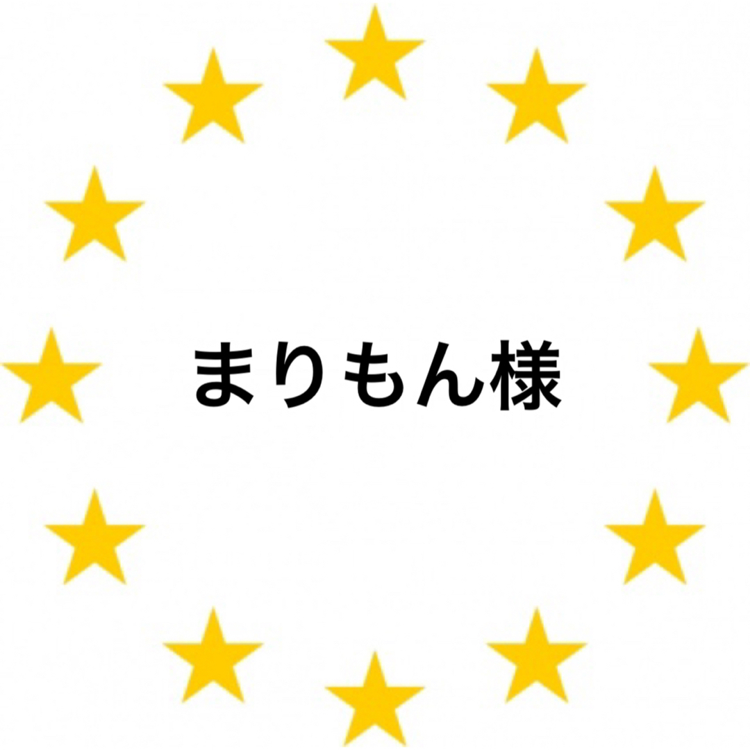 Kawada(カワダ)のまりもん様　専用　アイロンビーズ  ハンドメイドの素材/材料(各種パーツ)の商品写真