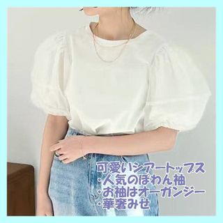 ◆ 流行のシアートップス　オーガンジー　ぽわん袖　チュール　ホワイト　オルチャン(シャツ/ブラウス(半袖/袖なし))