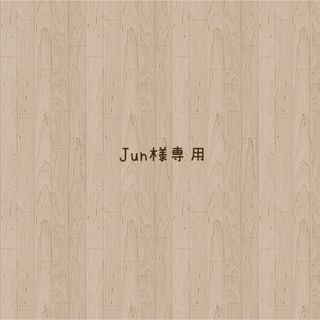 Jun様専用(つけ爪/ネイルチップ)