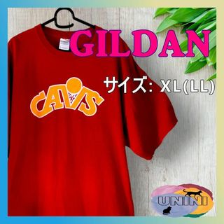 ギルタン(GILDAN)の最終値下げ　美品　《海外古着》GILDAN ギルダン XL LL 大きいサイズ⑪(Tシャツ/カットソー(半袖/袖なし))