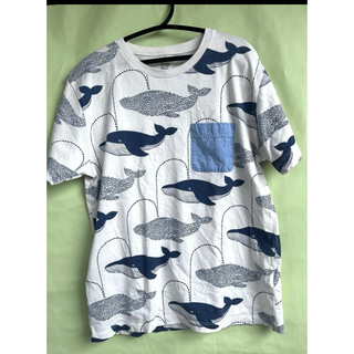 Design Tshirts Store graniph - グラニフ  くじらたくさんTシャツ