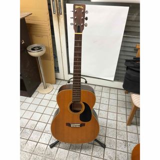 Martin - マーチンD28 トーティス(50年ビンテージカラー)ピックガード