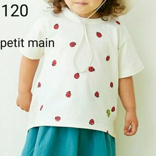 プティマイン(petit main)の120 プティマイン★半袖 Tシャツ★てんとう虫 テントウ虫★オフホワイト(Tシャツ/カットソー)