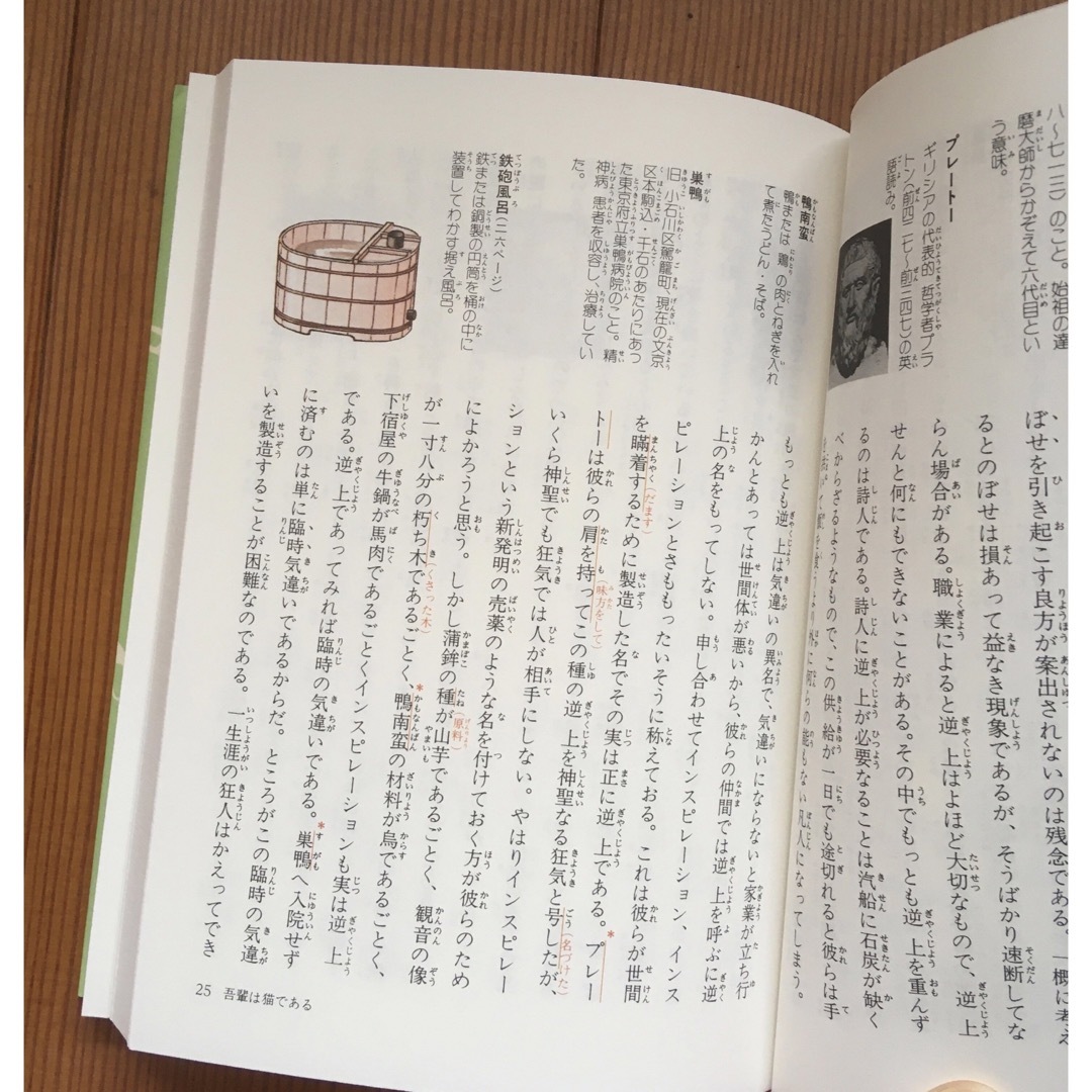 吾輩は猫である（下）ポケット日本文学館⑧ エンタメ/ホビーの本(文学/小説)の商品写真