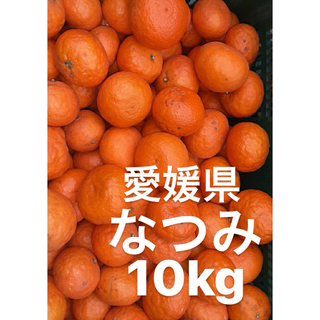 愛媛県産　なつみ　柑橘　10kg(フルーツ)
