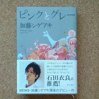 ピンクとグレー　小説(文学/小説)