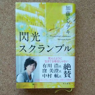 閃光スクランブル　小説(文学/小説)