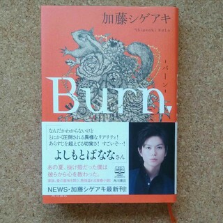 Burn. 　小説(文学/小説)