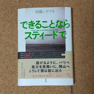 できることならスティードで(人文/社会)