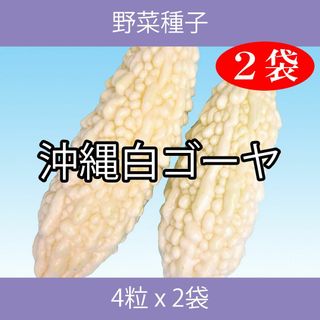 野菜種子 EAL 沖縄白ゴーヤ 4粒 x 2袋(野菜)