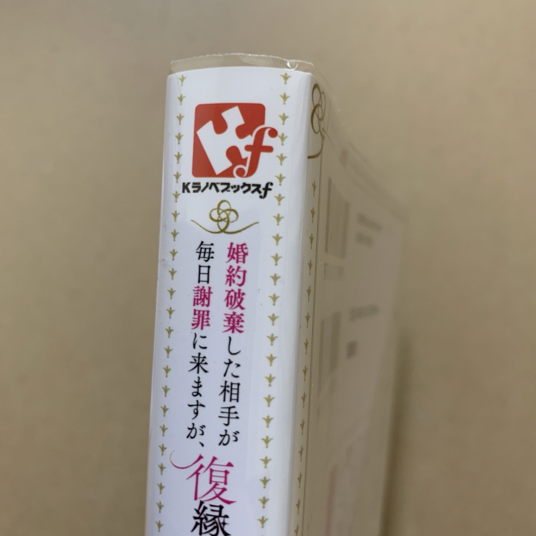 婚約破棄した相手が毎日謝罪に来ますが、復縁なんて絶対にありえません！ エンタメ/ホビーの本(文学/小説)の商品写真