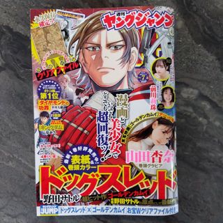 ヤングジャンプ7号 特大号  ※切り抜きなし(漫画雑誌)