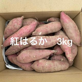 紅はるか　3kg さつまいも　小さいサイズ(野菜)