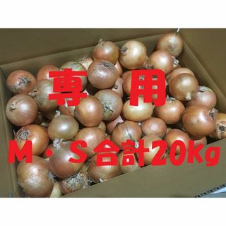 チヨクロ様専用　北海道産タマネギ　Ｍ・Ｓサイズ　合計20kg　農家直送(野菜)