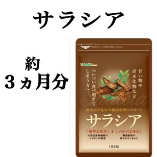 定価 2,340円！甘い物や炭水化物がお好きな方に！【サラシア】約３ヶ月分(ダイエット食品)