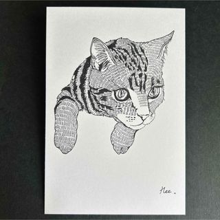 ボールペン画　猫(アート/写真)