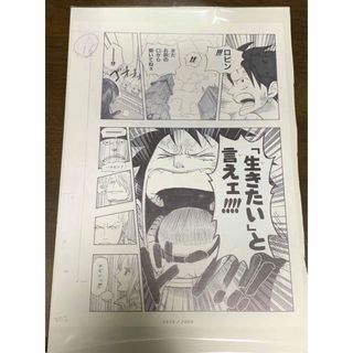 ワンピース ビブルの秘宝 ゾロ目 555 複製原画 当選品 ルフィ 名場面　　(その他)