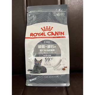 ロイヤルカナン(ROYAL CANIN)のロイヤルカナン 歯垢歯石が気になる成猫用 400g(ペットフード)