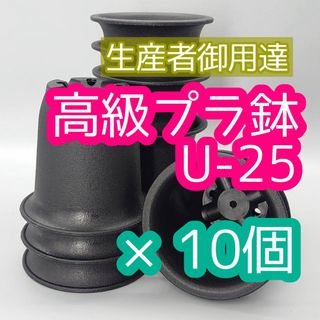 U25 10個 高級 プラ鉢 2.5号 U-25 多肉 アガベ ユーフォルビア(プランター)