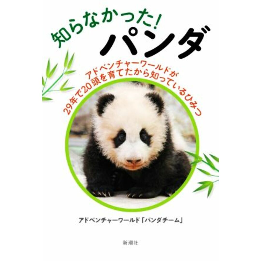 知らなかった！パンダ アドベンチャーワールドが２９年で２０頭を育てたから知っているひみつ／アドベンチャーワールド「パンダチーム」(著者) エンタメ/ホビーの本(住まい/暮らし/子育て)の商品写真