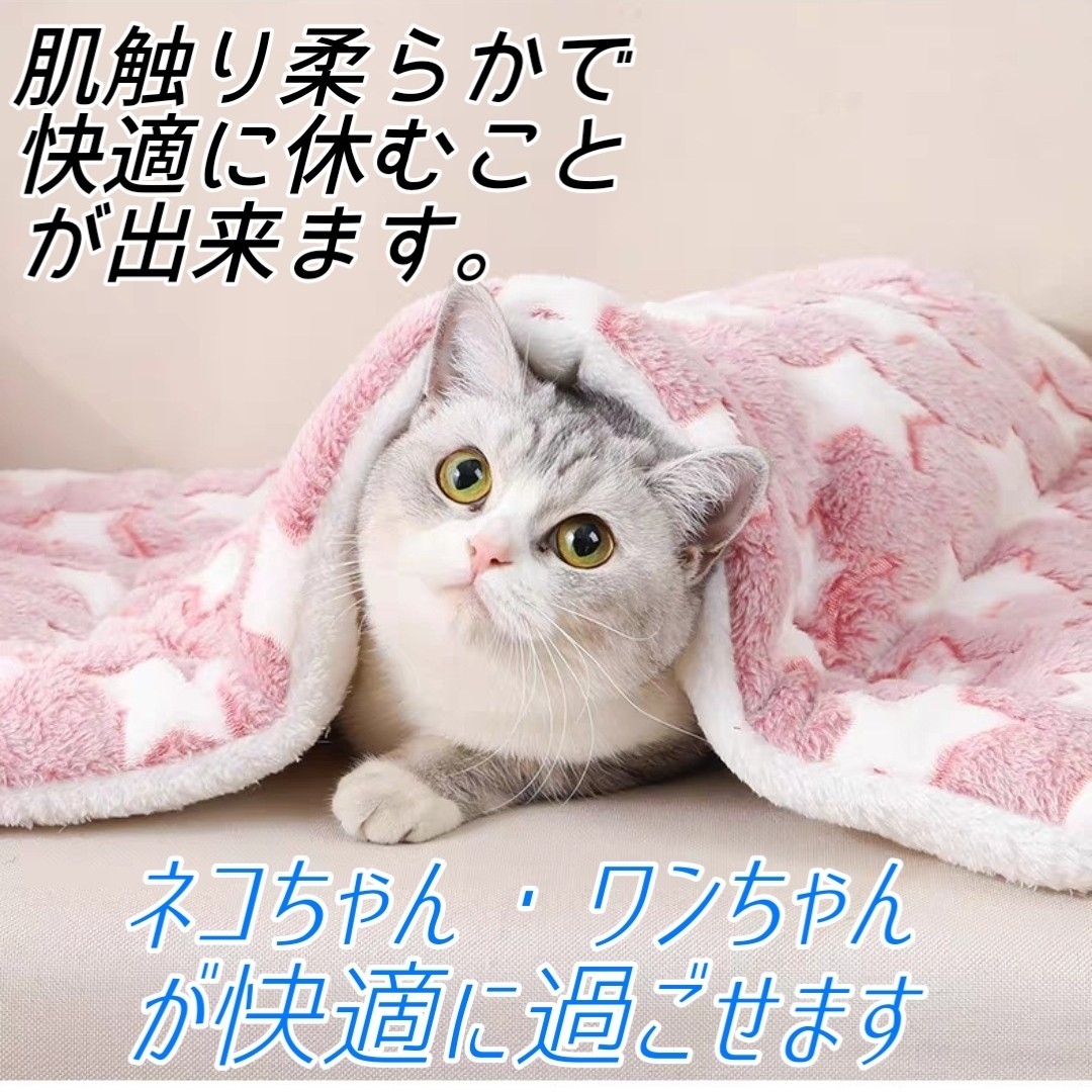 ペット ベッド ペット用ベッド 布団 毛布 クッション ブランケット 犬 猫用 その他のペット用品(猫)の商品写真