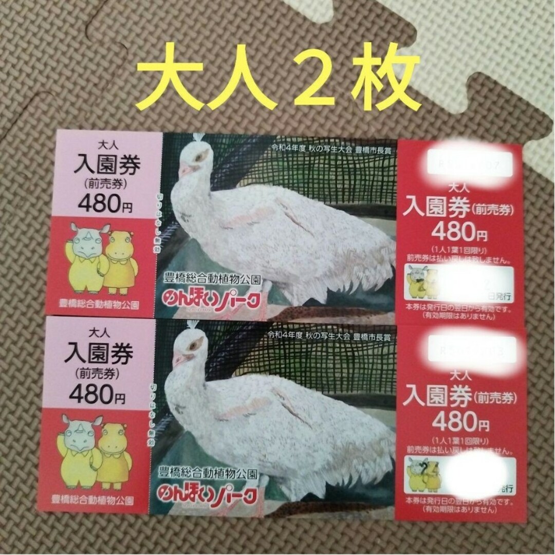のんほいパーク　チケット　入園券　大人２枚 チケットの施設利用券(動物園)の商品写真