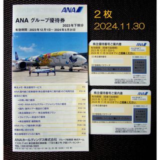 ANA 株主優待券　2枚　2024.11.30　ＡＮＡグループ優待券　1冊(航空券)