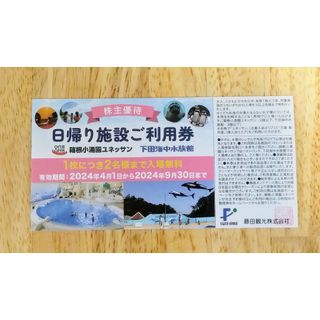 藤田観光　箱根小涌園ユネッサン　ご利用券1枚2名分(遊園地/テーマパーク)