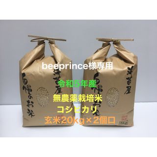 beeprince様専用 無農薬コシヒカリ玄米20kg×2個口 令和5年産(米/穀物)