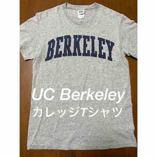 UC Berkeley  バークレー　カレッジTシャツ　グレー　男女兼用(Tシャツ/カットソー(半袖/袖なし))