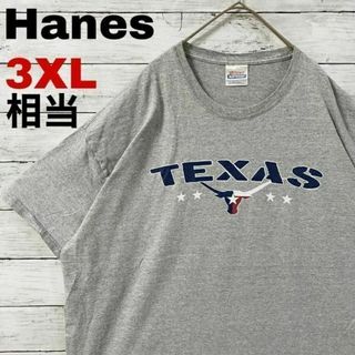 ヘインズ(Hanes)のm12 US古着　Hanes　半袖Tシャツ　テキサス大学　雄牛　カレッジロゴ(Tシャツ/カットソー(半袖/袖なし))