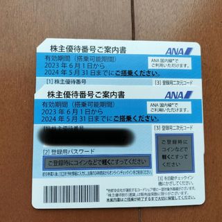 エーエヌエー(ゼンニッポンクウユ)(ANA(全日本空輸))のANA株主優待  2枚セット(その他)