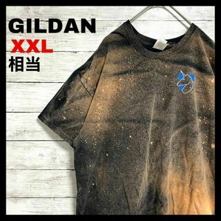 ギルタン(GILDAN)のg69 US古着 半袖Tシャツ カレッジロゴ ユニコーン シェファード大学(Tシャツ/カットソー(半袖/袖なし))