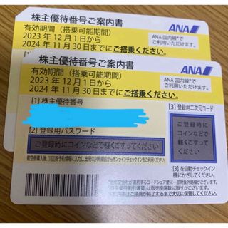 エーエヌエー(ゼンニッポンクウユ)(ANA(全日本空輸))のANA 株主優待券　2枚セット　2024.11(その他)