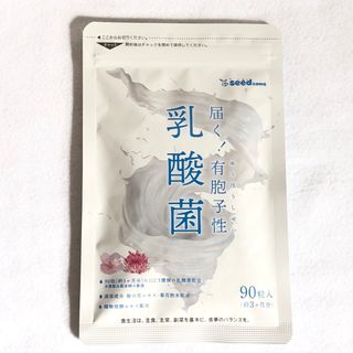 乳酸菌 サプリメント 約3ヵ月分 有胞子性乳酸菌 ソフトカプセル ダイエット(ダイエット食品)