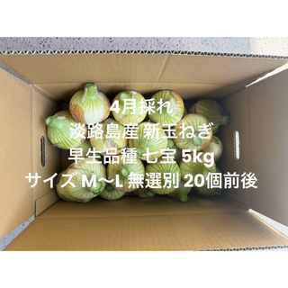 兵庫県 淡路島産 4月採れ 新玉ねぎ M～L 5kg早生品種 七宝 20個前後(野菜)