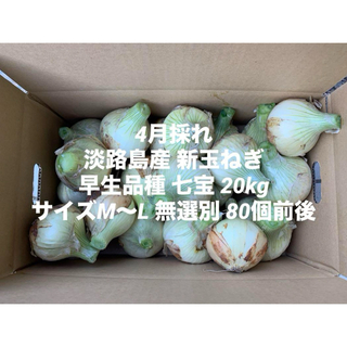 兵庫県 淡路島産 4月採れ 新玉ねぎ M～L 20kg早生品種 七宝 80個前後(野菜)