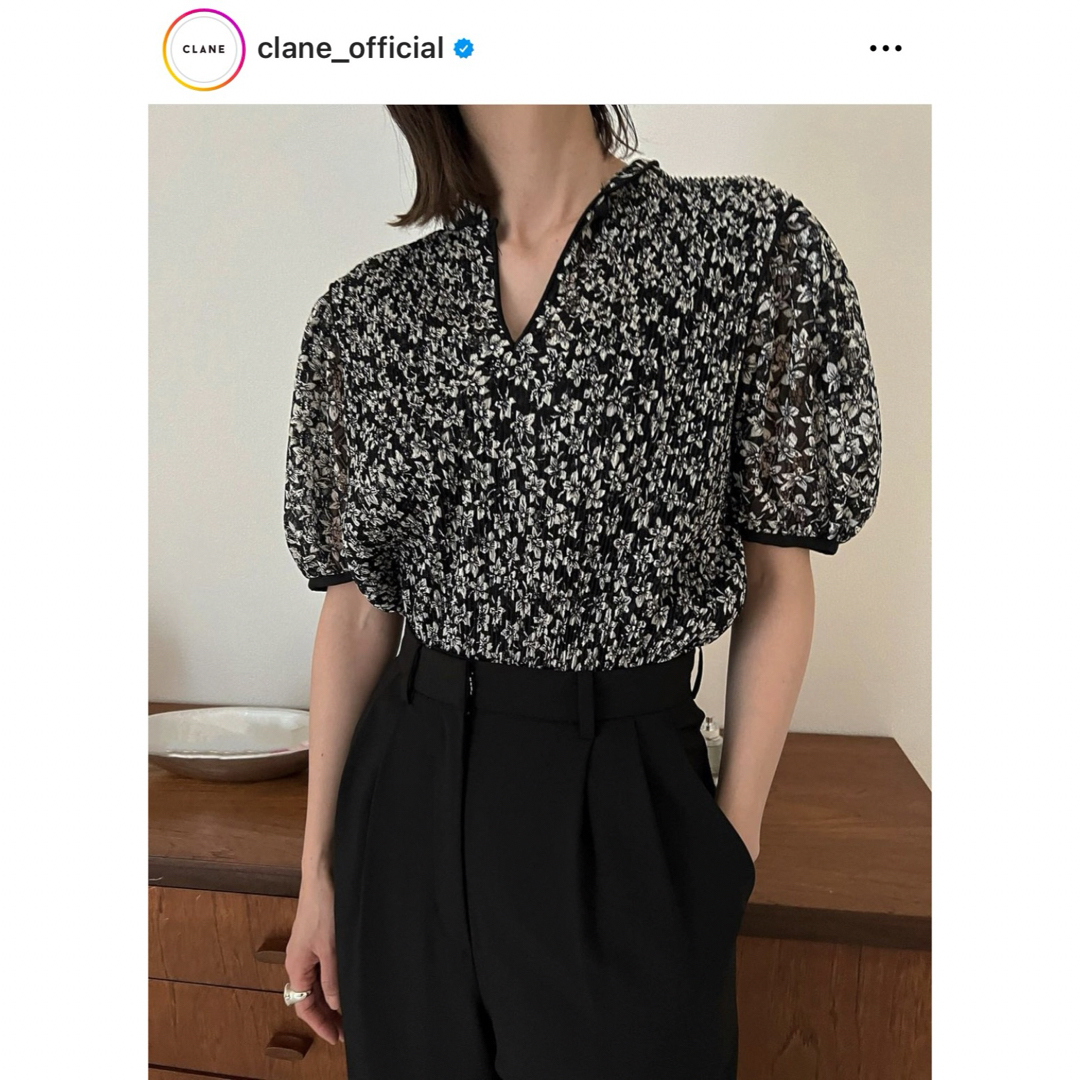 CLANE(クラネ)のCLANE PLEATS FLORET TOPS クラネ 完売 正規品 レディースのトップス(Tシャツ(半袖/袖なし))の商品写真