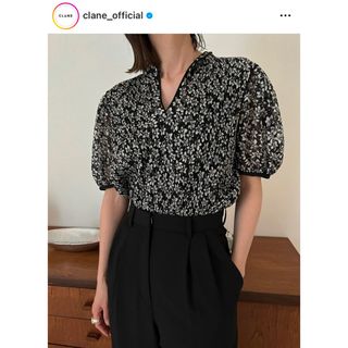 クラネ(CLANE)のCLANE PLEATS FLORET TOPS クラネ 完売 正規品(Tシャツ(半袖/袖なし))