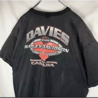 ハーレーダビッドソン(Harley Davidson)のハーレーダビッドソン ヘンリーネック Tシャツ(Tシャツ/カットソー(半袖/袖なし))