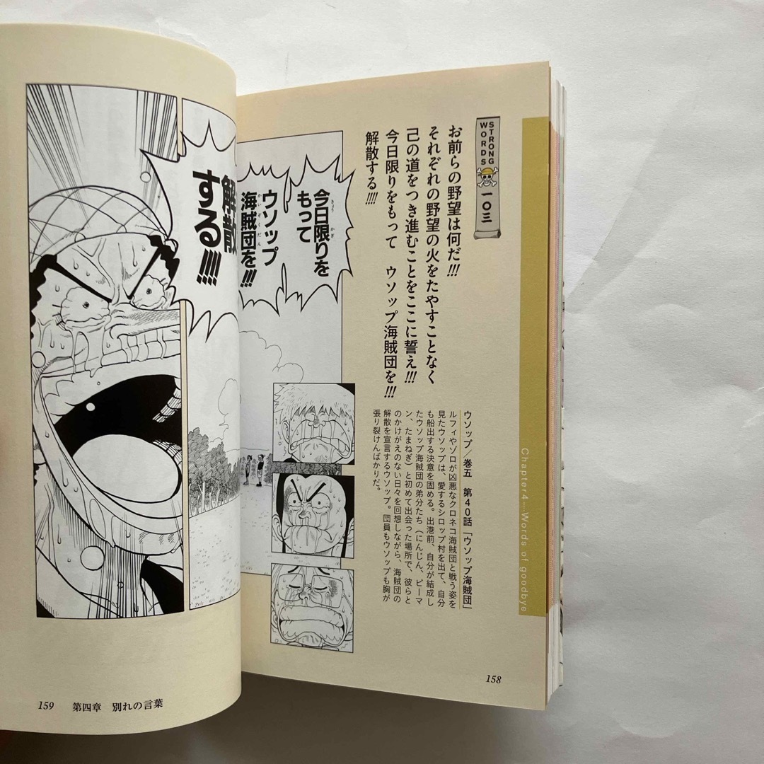 集英社(シュウエイシャ)のＯＮＥ　ＰＩＥＣＥ　ＳＴＲＯＮＧ　ＷＯＲＤＳ 上巻下巻まとめ売り エンタメ/ホビーの本(その他)の商品写真