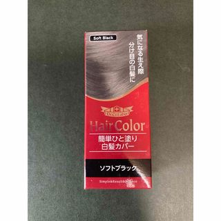 ドクターシーラボ(Dr.Ci Labo)のドクターシーラボ 簡単ひと塗り白髪カバー ソフトブラック(10mL)(白髪染め)