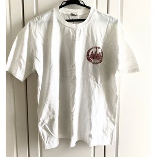 カンボジア アンコールワット スーベニア Tシャツ ナショナルパーク パタゴニア(Tシャツ/カットソー(半袖/袖なし))