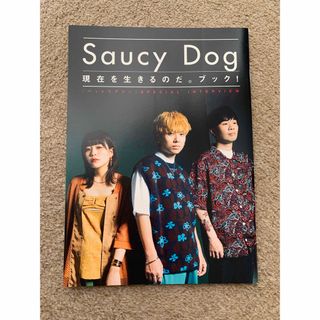 ROCKIN'ON JAPAN別冊付録　Saucy  Dog  サウシー(音楽/芸能)