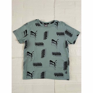 PUMA - プーマ　PUMA Tシャツ　150
