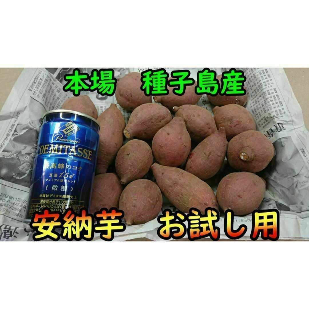 【本場種子島産】安納芋紅1キロ ２Sサイズ 完熟！【お試し用】 食品/飲料/酒の食品(野菜)の商品写真